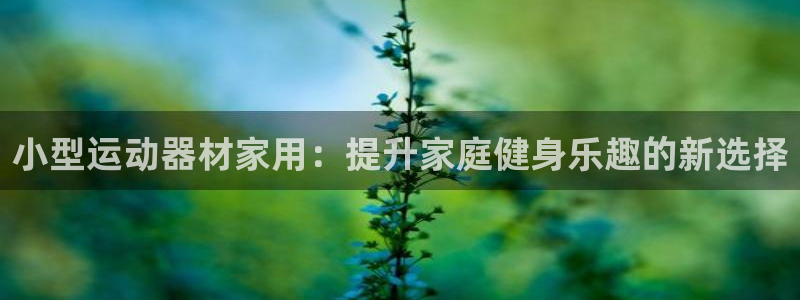 熊猫体育娱乐:小型运动器材家用:提升家庭健身乐趣的新选择